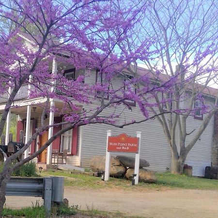 Bliss Point Farm And B&B, Llc Earlysville Ngoại thất bức ảnh