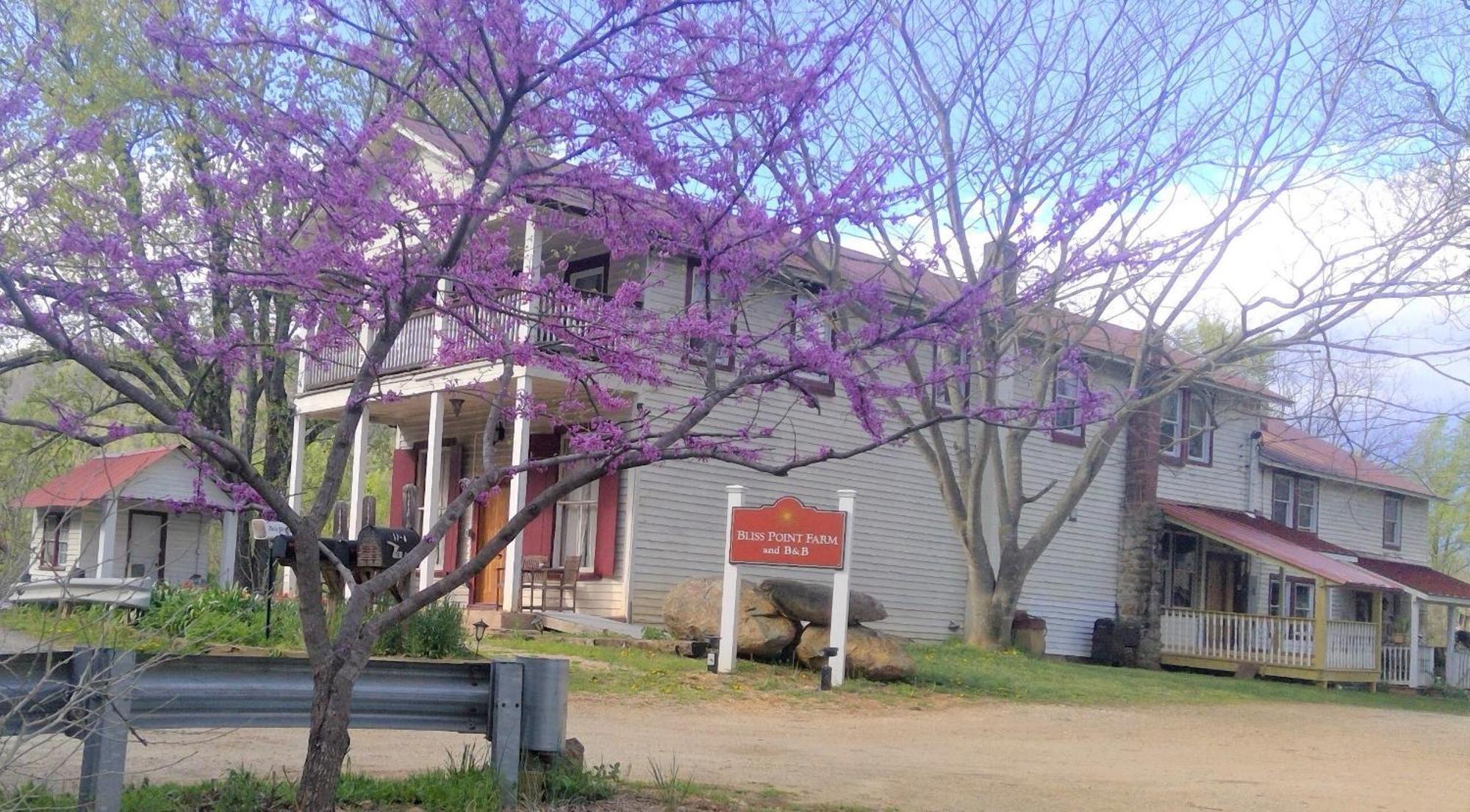 Bliss Point Farm And B&B, Llc Earlysville Ngoại thất bức ảnh